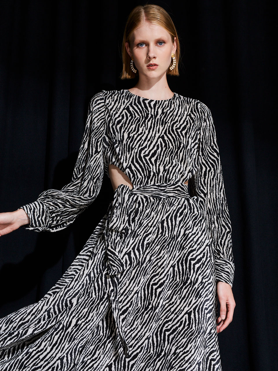 Ananke Kirsten Zebra Pleated Dress