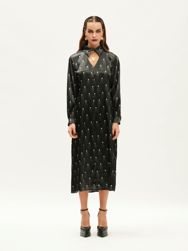 We are Collar-Neck Dress Black
