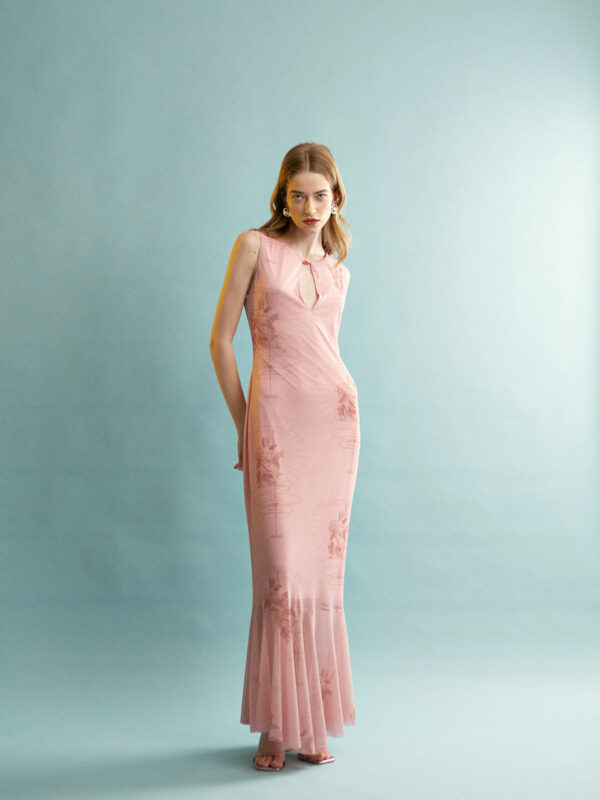 Ananke Mesh Printed Pink Dress