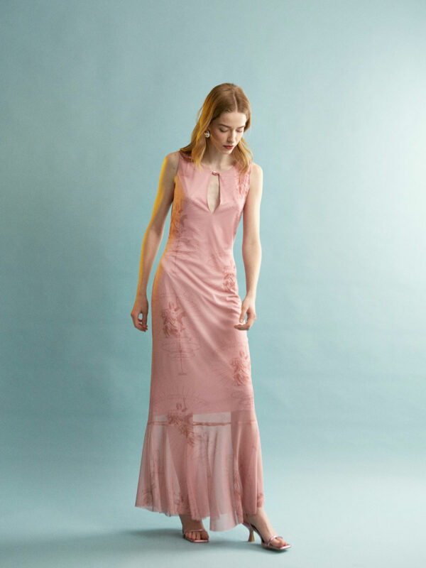 Ananke Mesh Printed Pink Dress