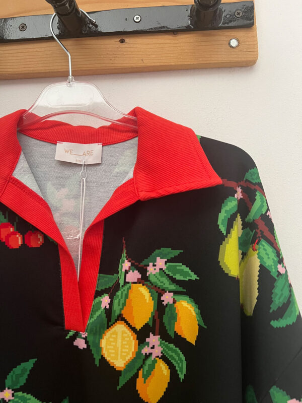 We are Sweater Fruits