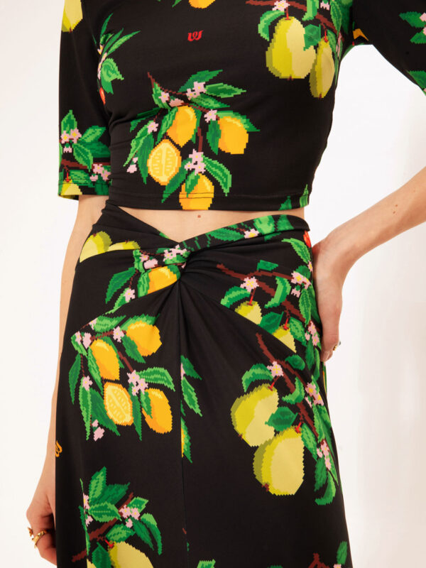 We are Jersey Skirt Fruits