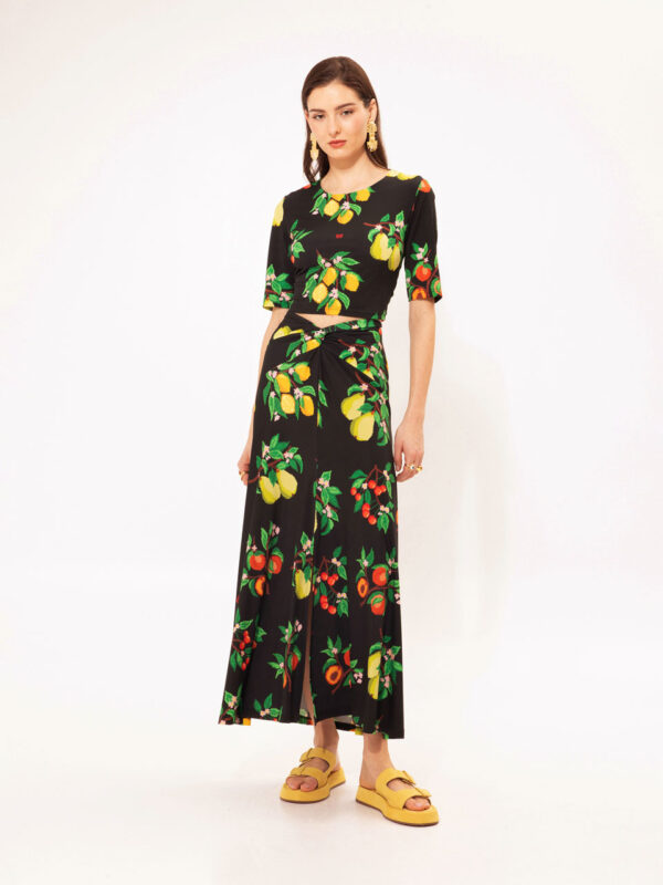 We are Jersey Skirt Fruits