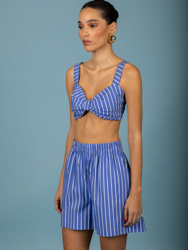 Chaton Benjamin Shorts Blue