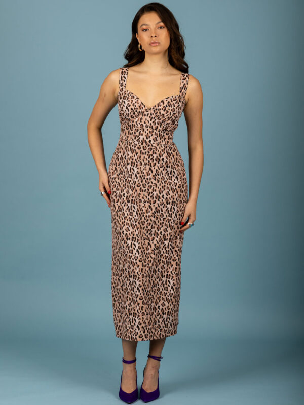 Chaton Lorenzo Dress