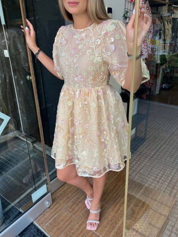 Sister Jane Sunrise Sequin Mini Dress