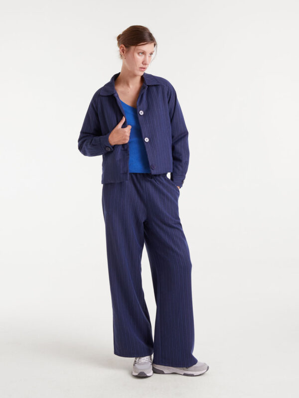 Compania Fantastica Striped Pants Blue